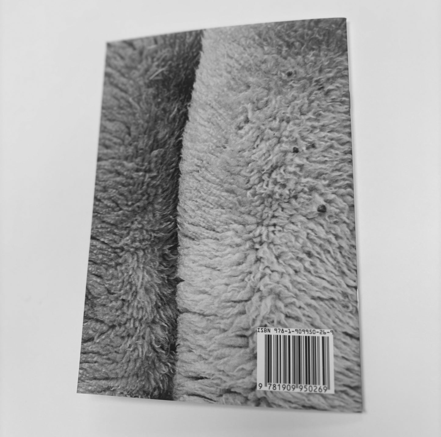 Abattoir Raw: Graphic photos of a working slaughterhouse, 1967