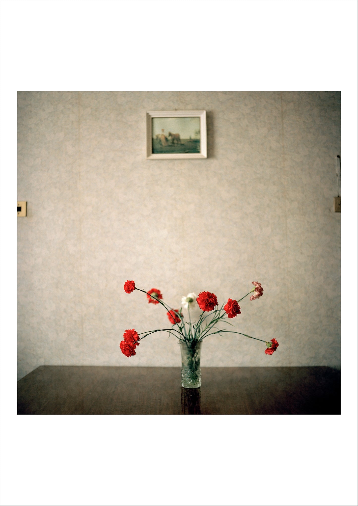 Returning Home - Abkhazia, 2010