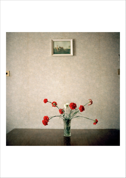 Returning Home - Abkhazia, 2010