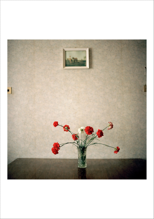 Returning Home - Abkhazia, 2010