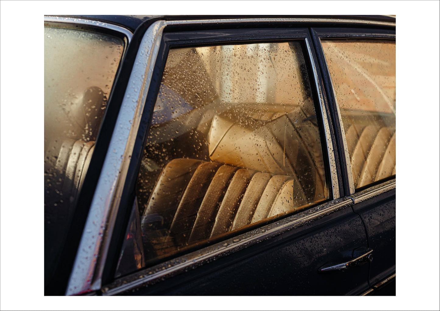 The Passenger (from the series Unqualified), 2022
