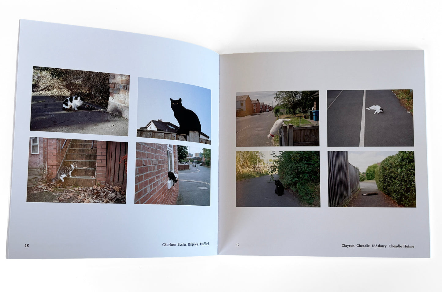 The Manchester Cat Cartel