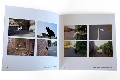 The Manchester Cat Cartel