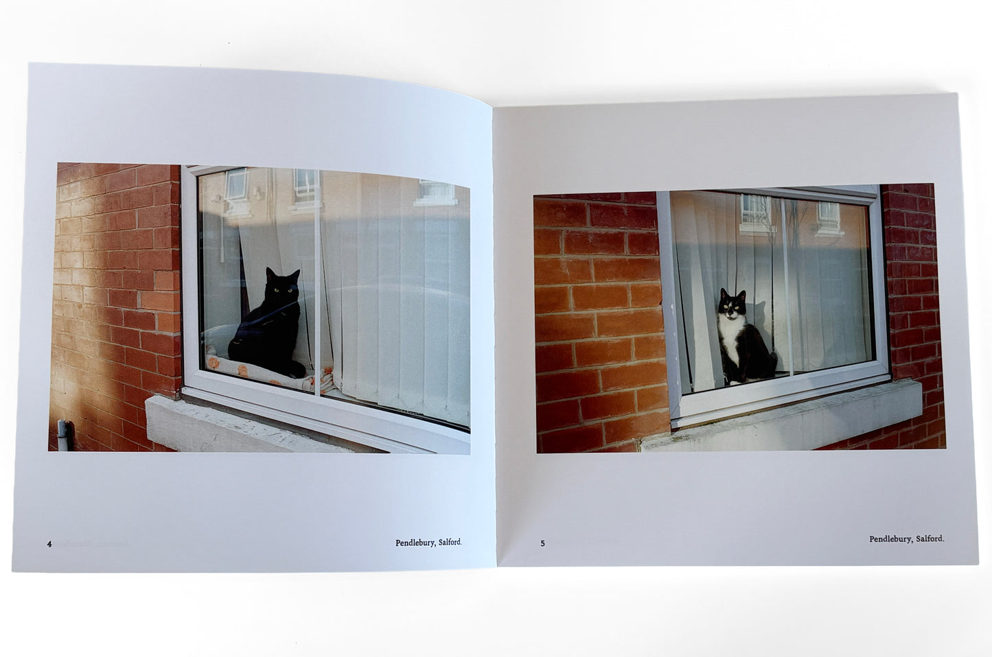 The Manchester Cat Cartel