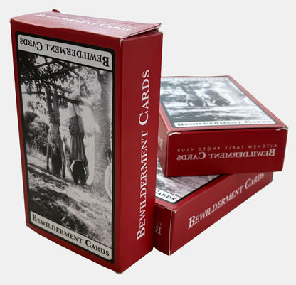 Bewilderment Cards