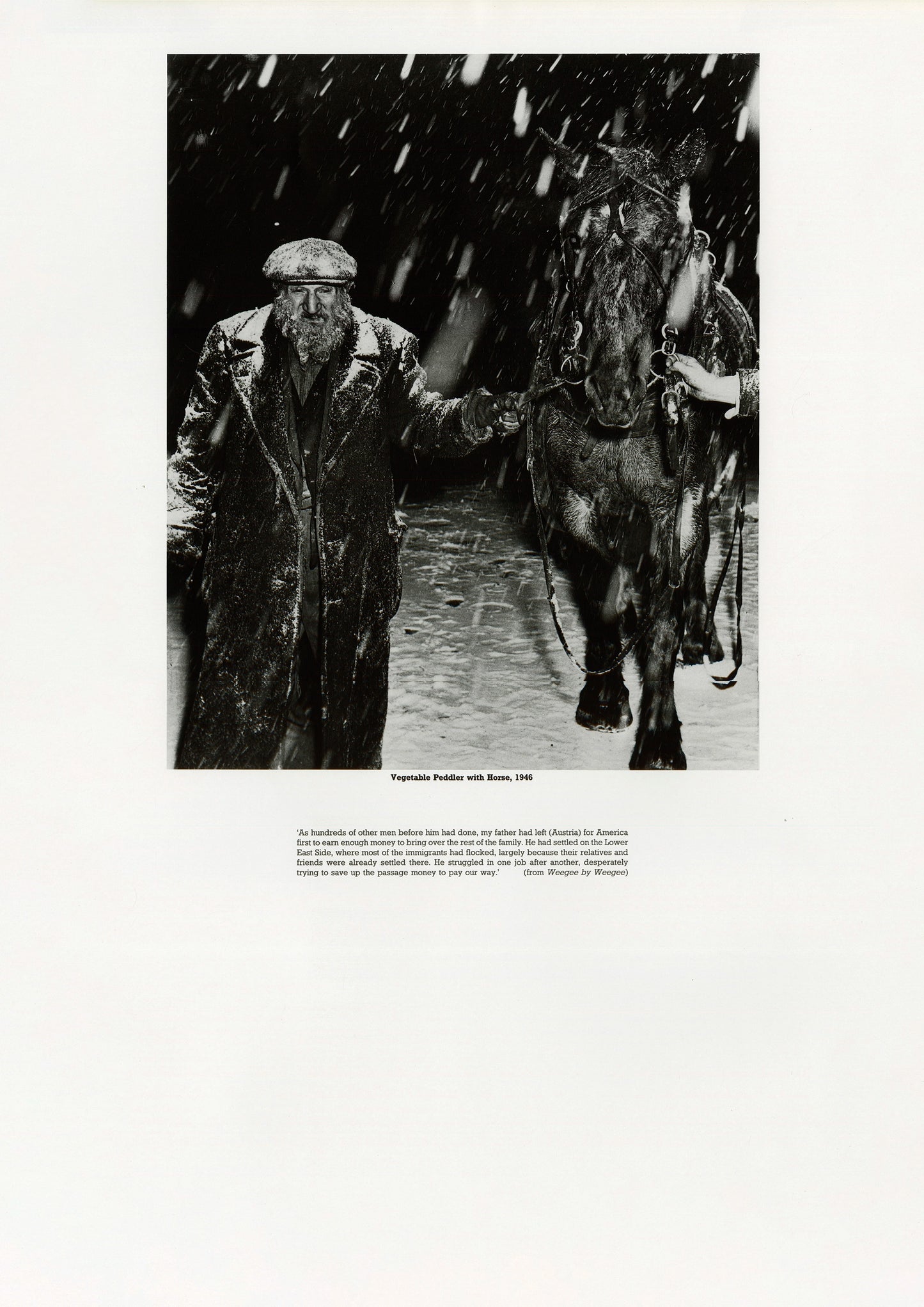 Vegetable Peddler with Horse Poster