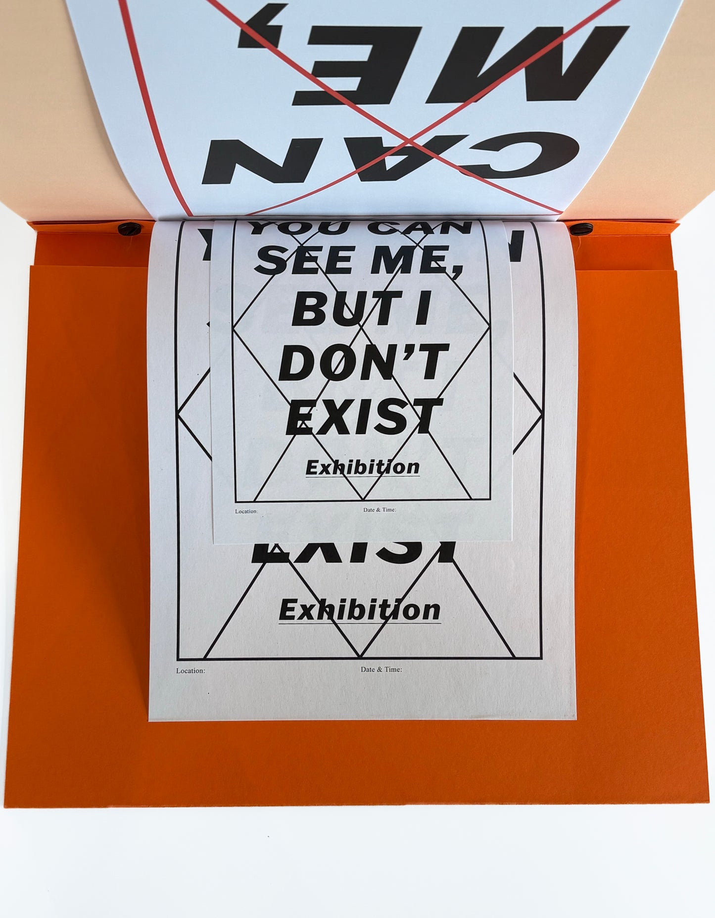You Can See Me, But I Don't Exist